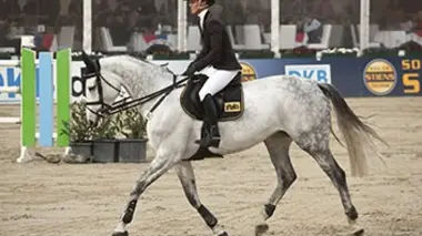 Grand Prix de la ville de Lausanne Equitation CSI 5 étoiles de Lausanne 2017