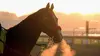 Grand Prix de Londres Equitation Global Champions Tour 2025