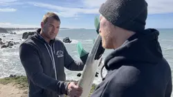 Grand requin blanc : Noël sanguinaire