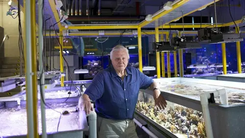 Grande barrière de corail S01E03 Un monde à préserver