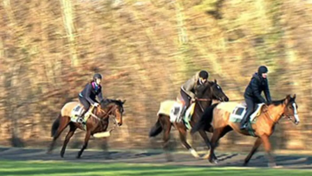 Grandes écoles au galop