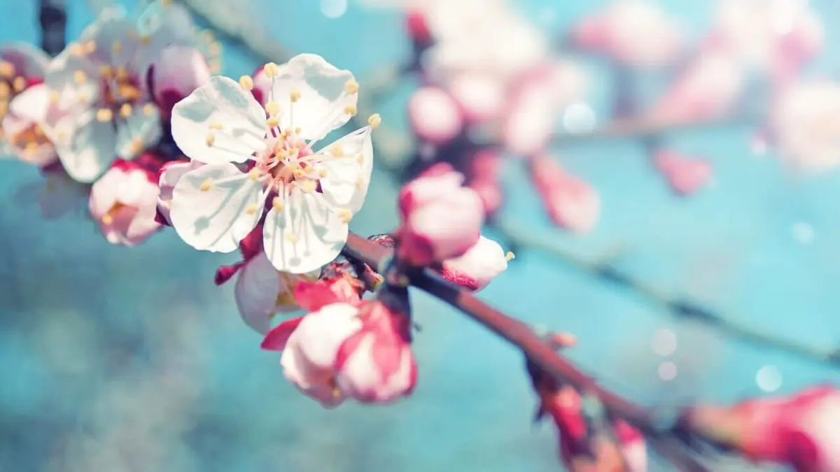 Grandeur Nature Chine