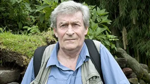 Grandeurs nature Un amour de gorille