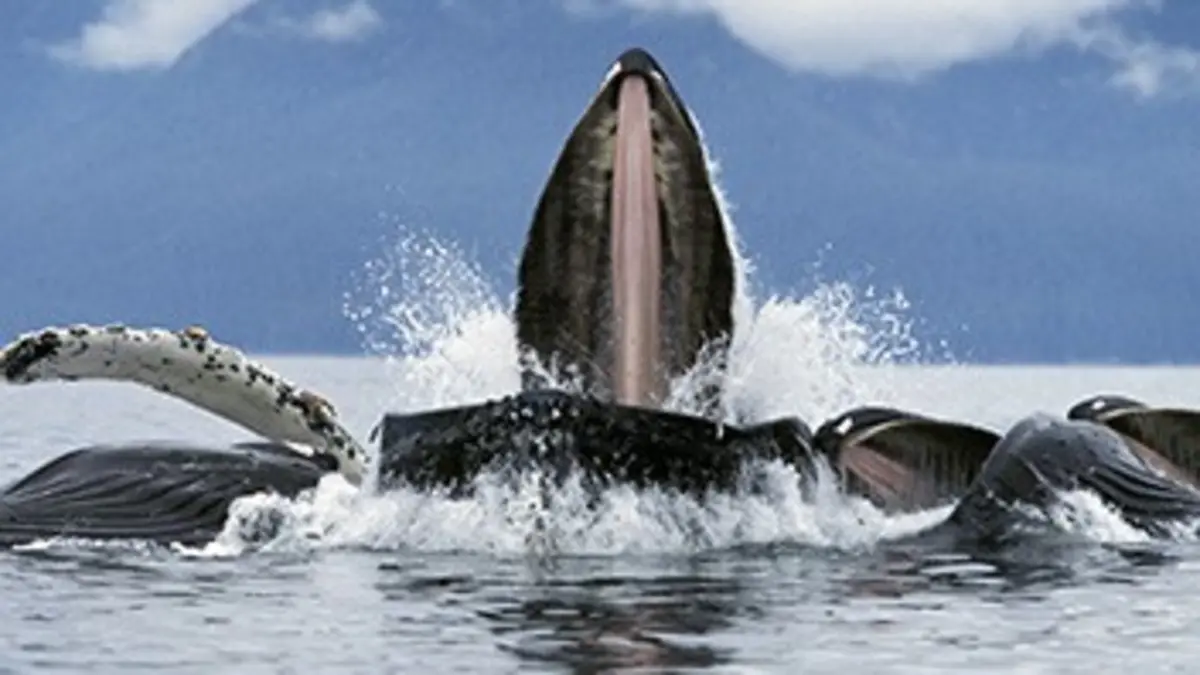 Grandeurs nature Union parfaite dans la nature