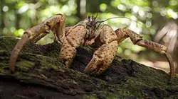 Visuel de Grandeurs nature