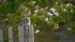Visuel de Grandeurs nature