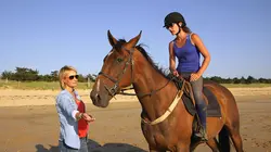 Visuel de Le bonheur au galop