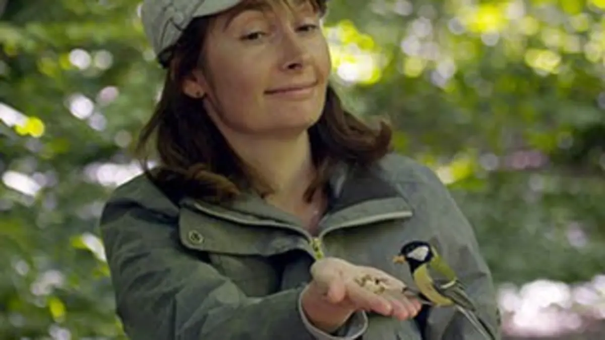 A côté dans nos forêts A côté dans nos forêts