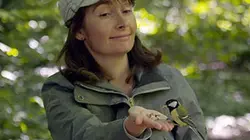 Visuel de A côté dans nos forêts