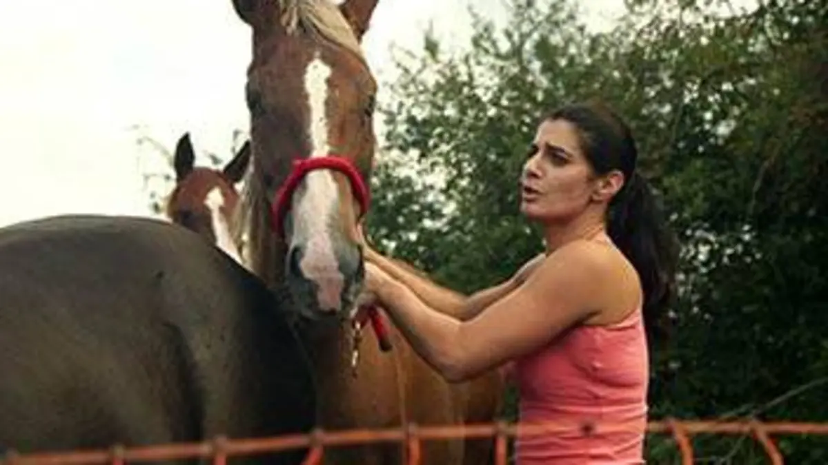 Grandeurs nature Les belles et les bêtes