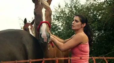 Les belles et les bêtes