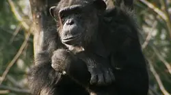 Visuel de Grandeurs nature