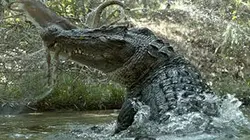 Visuel de Grandeurs nature