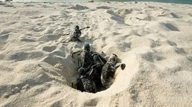 Le peuple des océans : Le peuple des sables et des forêts