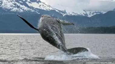 Le peuple des océans : De la terre à la mer