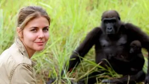 Les orphelins du paradis Les orphelins du paradis : opération gorilles