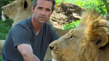 Kevin Richardson, l'homme qui murmure à l'oreille des lions