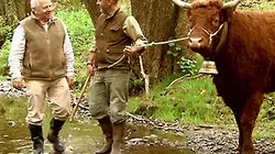 Visuel de Dimanche à la ferme
