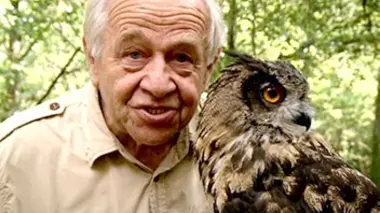 Dimanche à la ferme