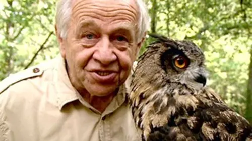 Dimanche à la ferme E02 Dimanche à la ferme