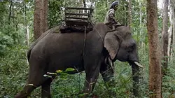 Visuel de Grandeurs nature