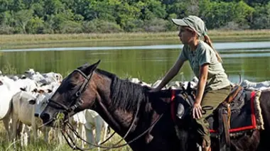 Leticia et les chevaux du Pantanal