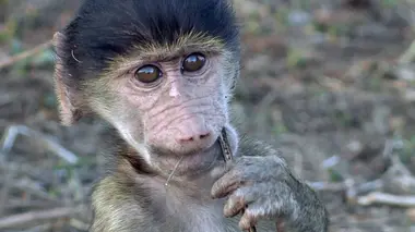 L'union fait la force