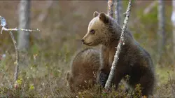 Grandir en pleine nature