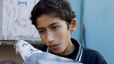 Les oiseaux de Bakou