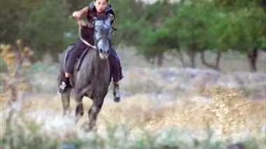 La fièvre du cheval