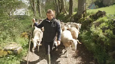 Le nouveau souffle des vieux métiers