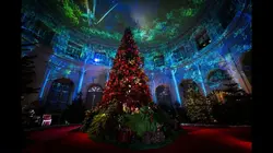 Grands reportages Ils illuminent nos fêtes