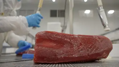 Du faux dans nos assiettes, un business rentable et risqué pour le consommateur