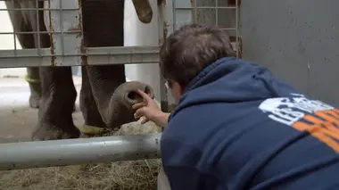 Les parcs de loisirs : une passion française