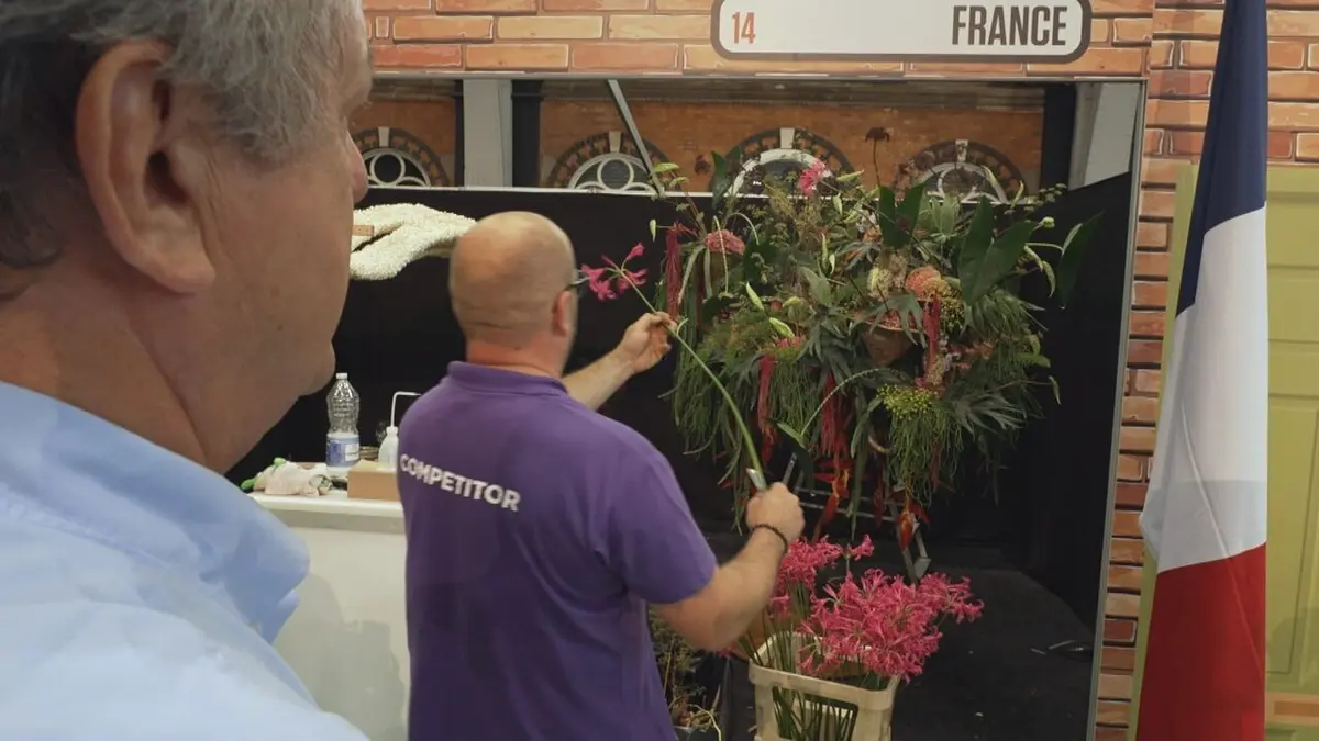 Grands reportages S08E14 Concours: ces Français qui ont la gagne