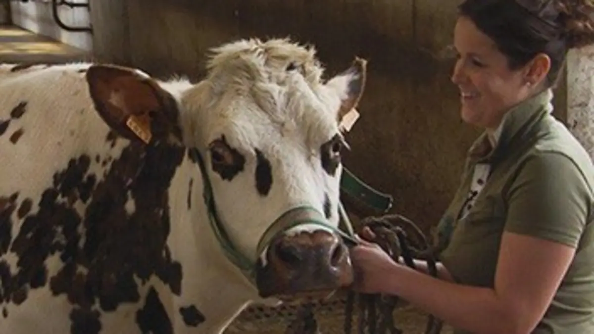 Grands reportages Agricultrices, des femmes bien dans leurs bottes
