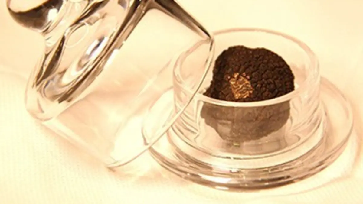 Grands reportages A la poursuite des diamants noirs