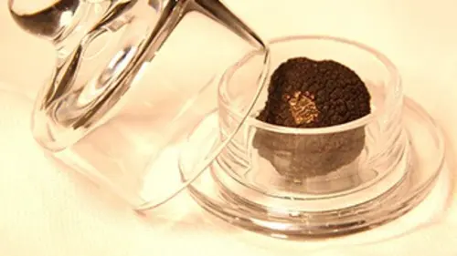 Grands reportages A la poursuite des diamants noirs