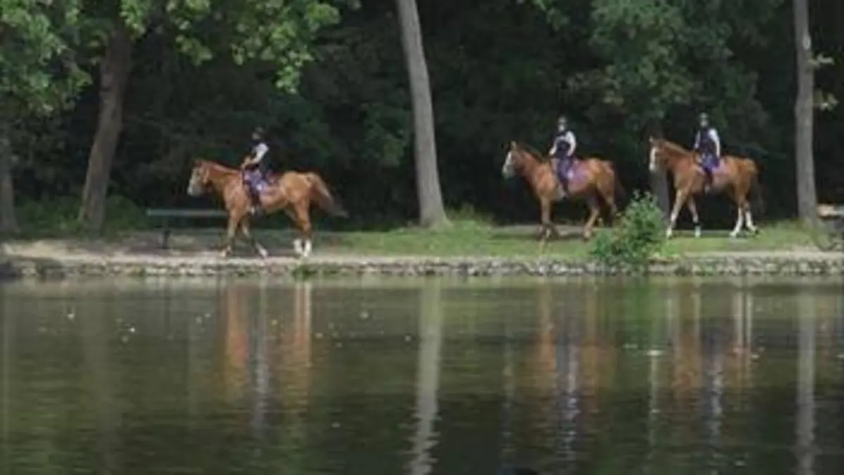 Grands reportages Les secrets du bois de Boulogne