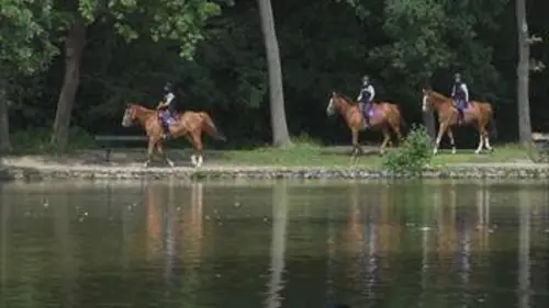 Grands reportages Les secrets du bois de Boulogne