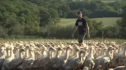 Grands reportages Des épines sous le sapin