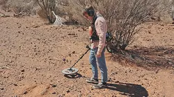 Grands reportages S07E344 A la recherche des trésors perdus