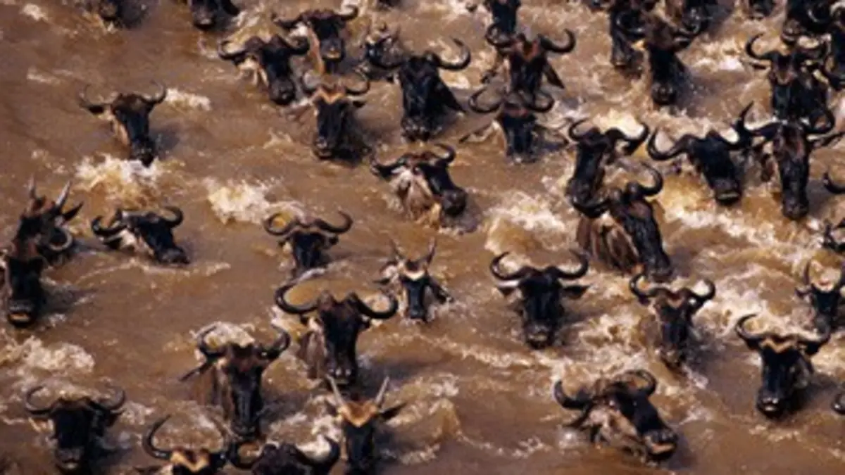 National Geographic E01 Avancer pour vivre