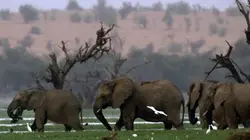 Visuel de National Geographic