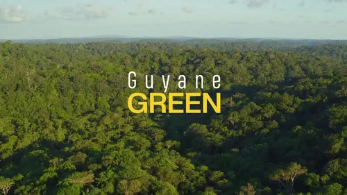 Green Guyane Green