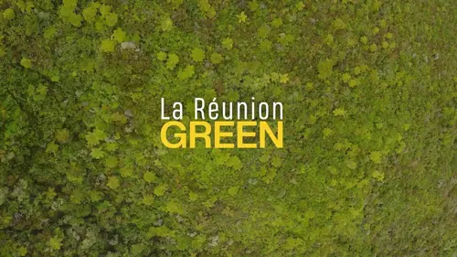 Green La Réunion