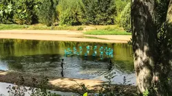 Green Justice : quand la nature porte plainte