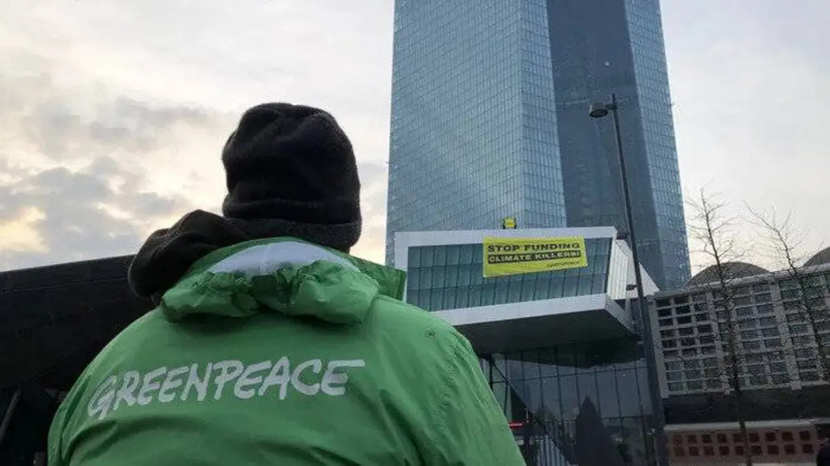 Greenpeace a 50 ans : De l'ONG à la multinationale verte