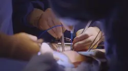 Visuel de Greffer la vie