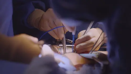 Photos de Greffer la vie